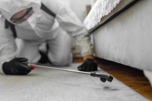 Professional Bed Bug Control technician working in North Kensington, MD