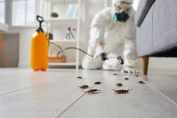 Trusted Termite Control service in North Kensington, MD - Nex Pest Control