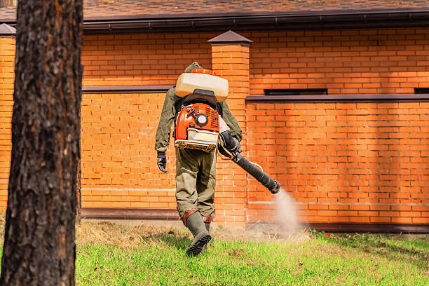 Trusted Mosquito Control service in North Kensington, MD - Nex Pest Control